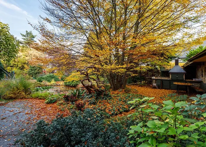 Origo Vendeghaz 4* Héviz